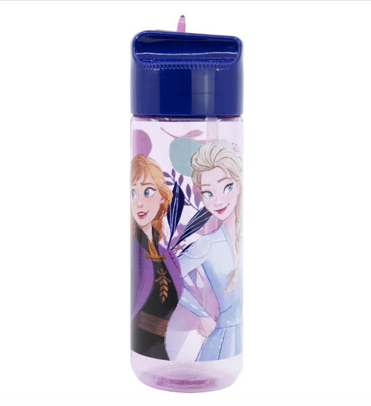 Borraccia Disney Frozen in Ecozen  540 ml